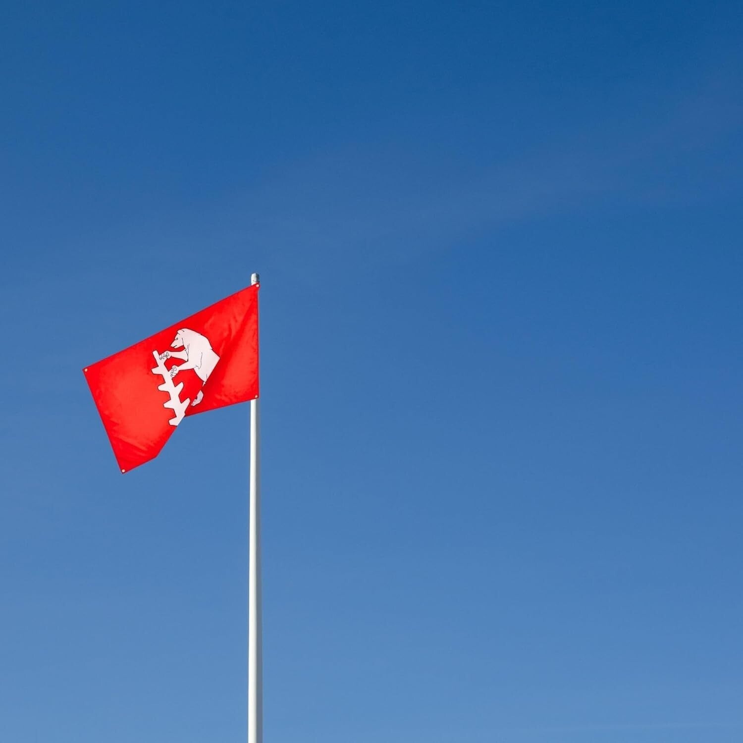 Warwickshire Flag 5 x 3 FT - 100% Polyester With Eyelets - English County