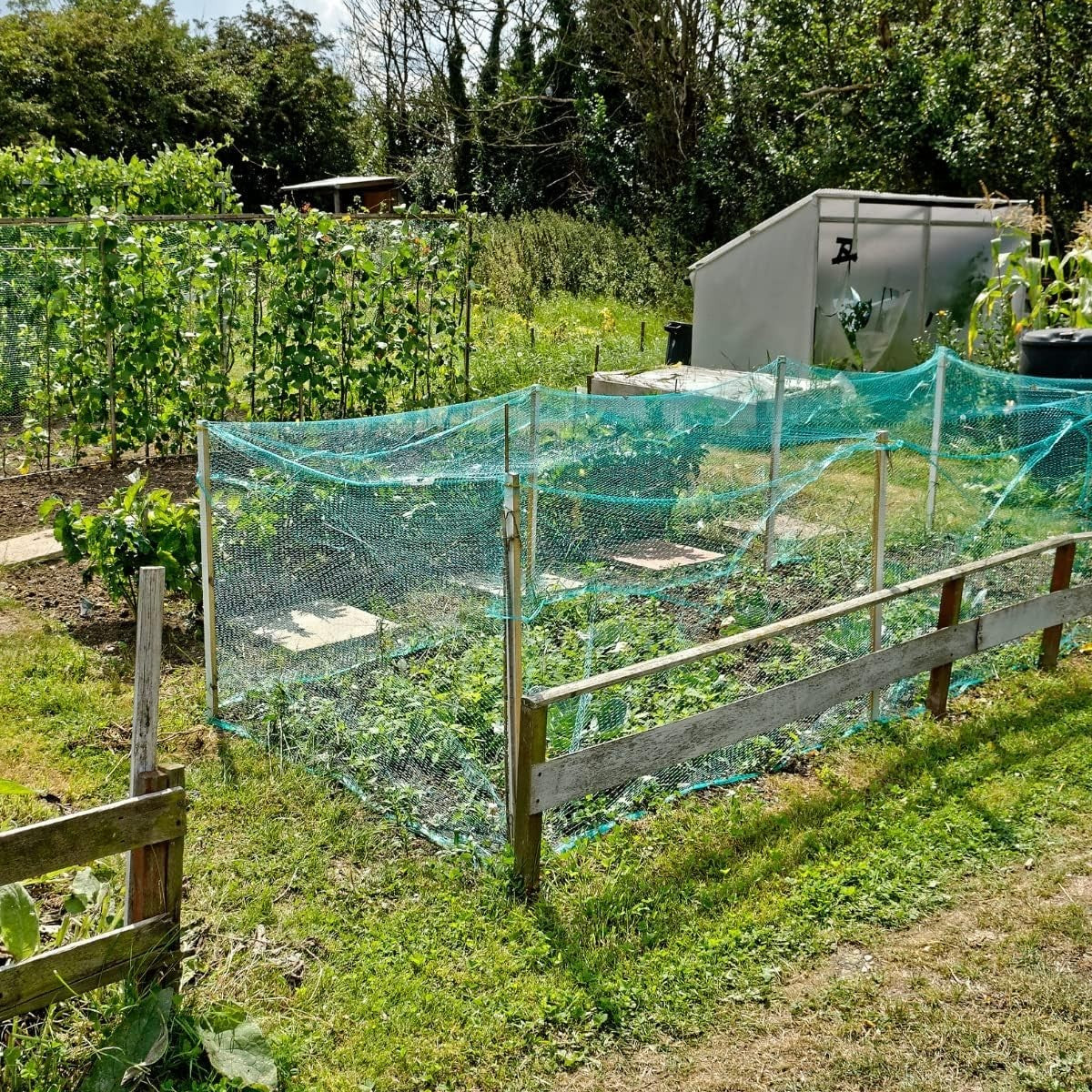 Green Debris Scaffold Windbreak Shade Garden Allotment Netting Fence - 2m x 10m