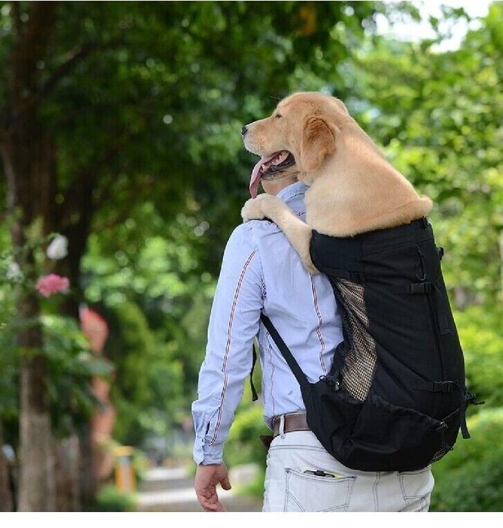 Small Dog Carrier Bag with Drawstring Head Out Design, Ventilated Pet Backpack