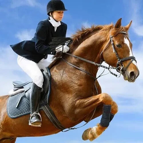 41.5 cm Riding crop, black faux leather paddle horse crop and riding crop Black