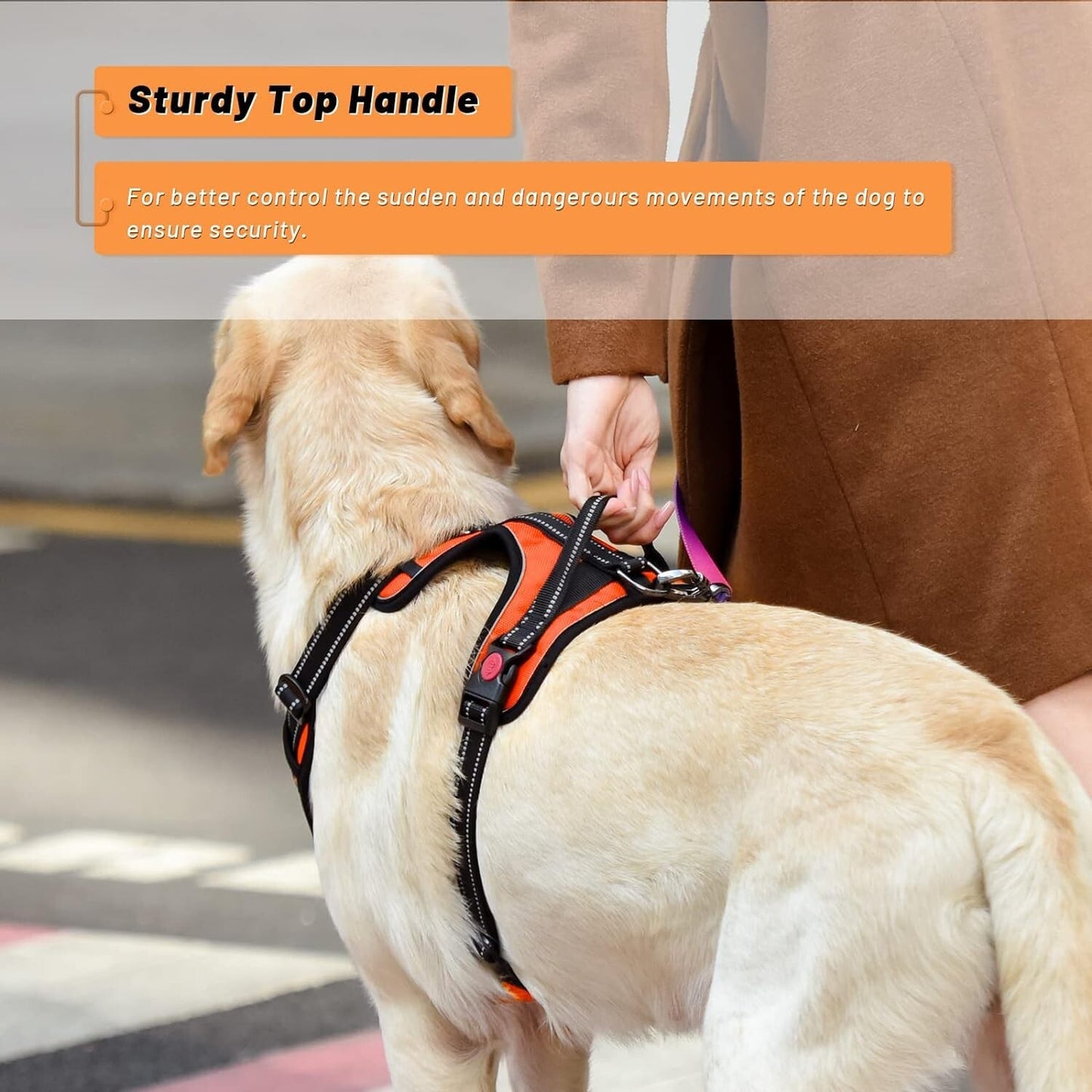 Roses&Poetry Dog Pet Harness Reflective No Pull Handle Adjustable