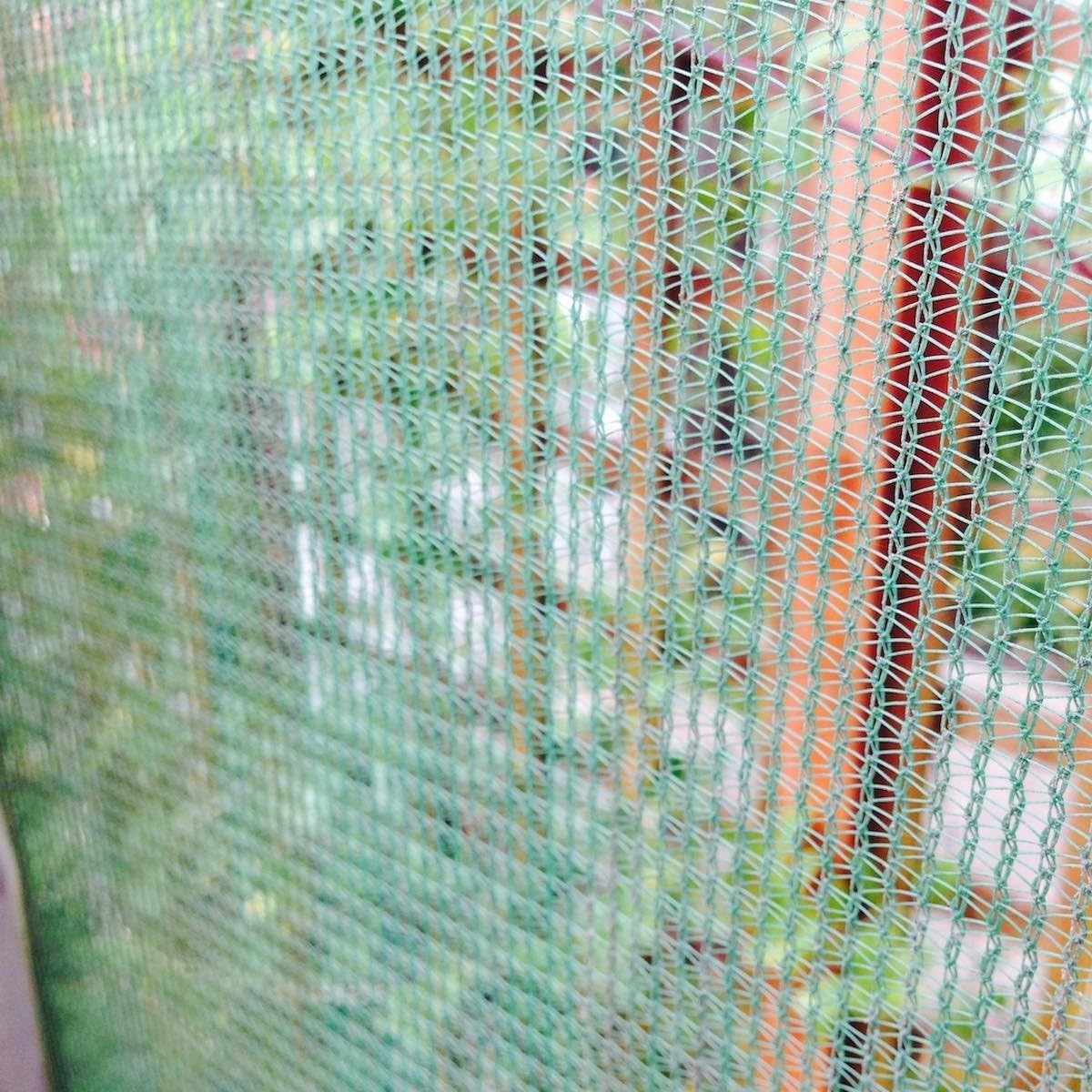 Green Debris Scaffold Windbreak Shade Garden Allotment Netting Fence - 2m x 10m