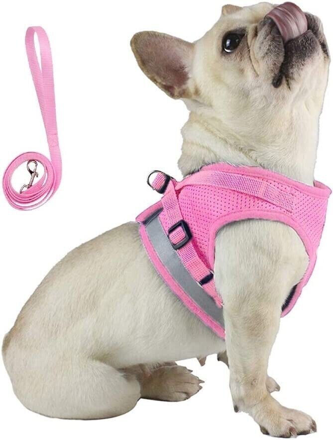 Breathable Small Pet Dog Puppy Cat Harness Reflective Soft Mesh Vest Lead Cute