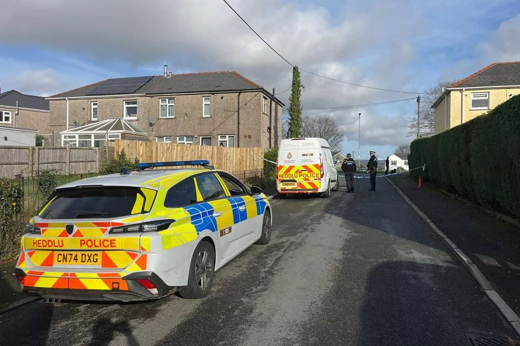 Girl, 17, stabbed to death and mother injured in horror attack