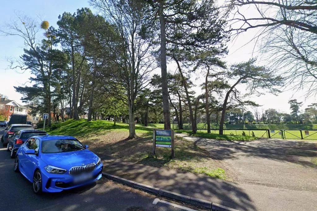 Man 'refused asylum' detained after woman is 'raped' in wooded area