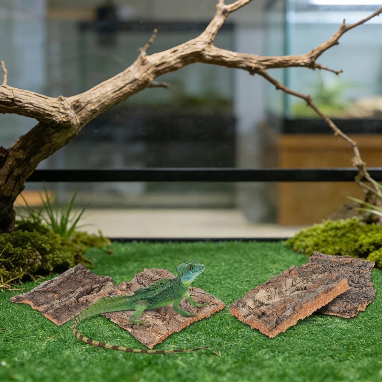 4Pcs Reptile Cork Bark Reptile Enclosure Background Cork Bark For Gecko