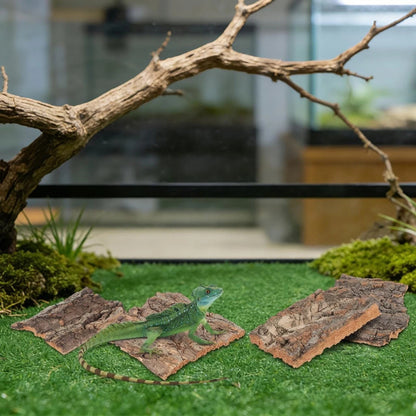 4Pcs Reptile Cork Bark Reptile Enclosure Background Cork Bark For Gecko