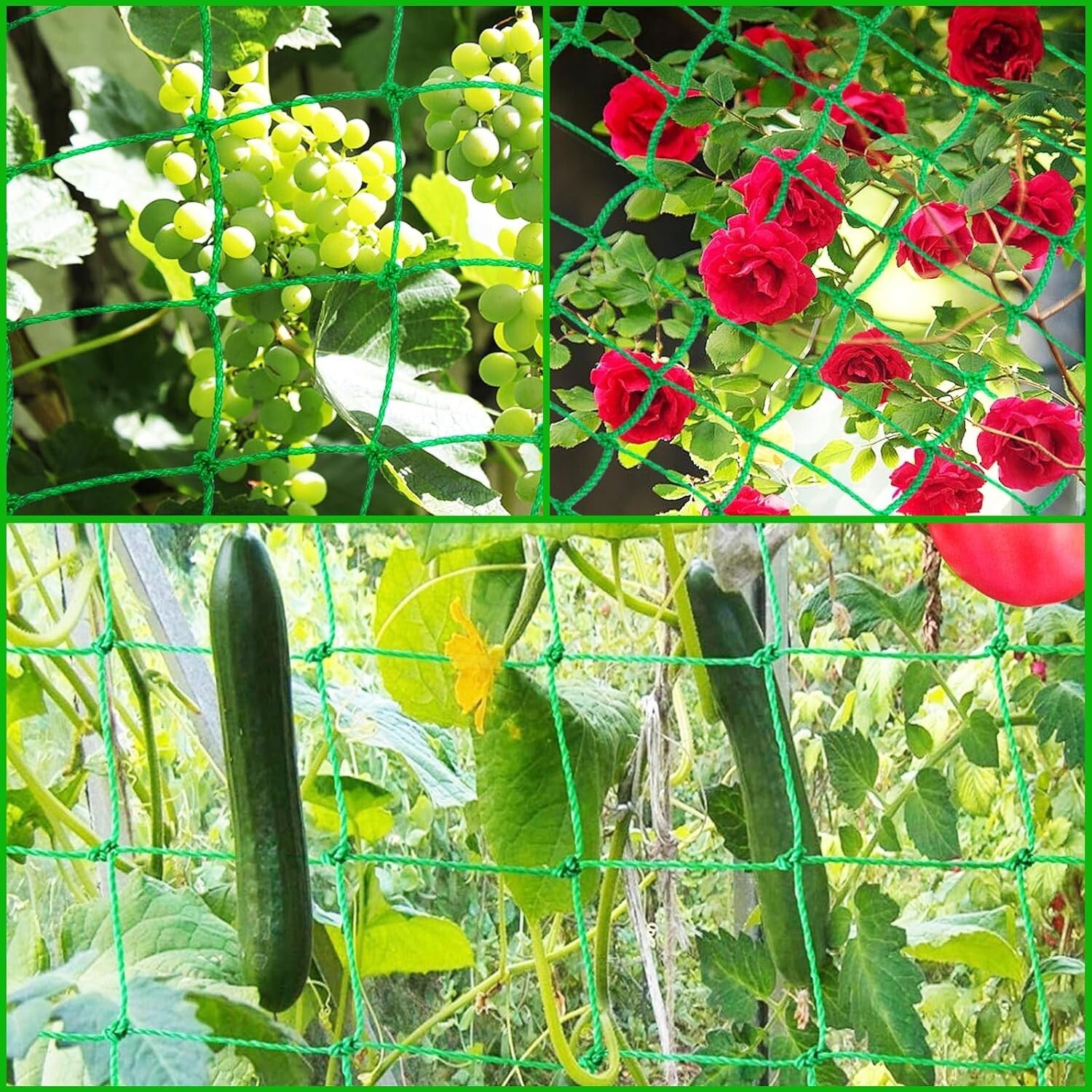 Plant Support Mesh Net Vegetable Fruit Climbing Netting Pea Bean Trellis 6mx1.8m