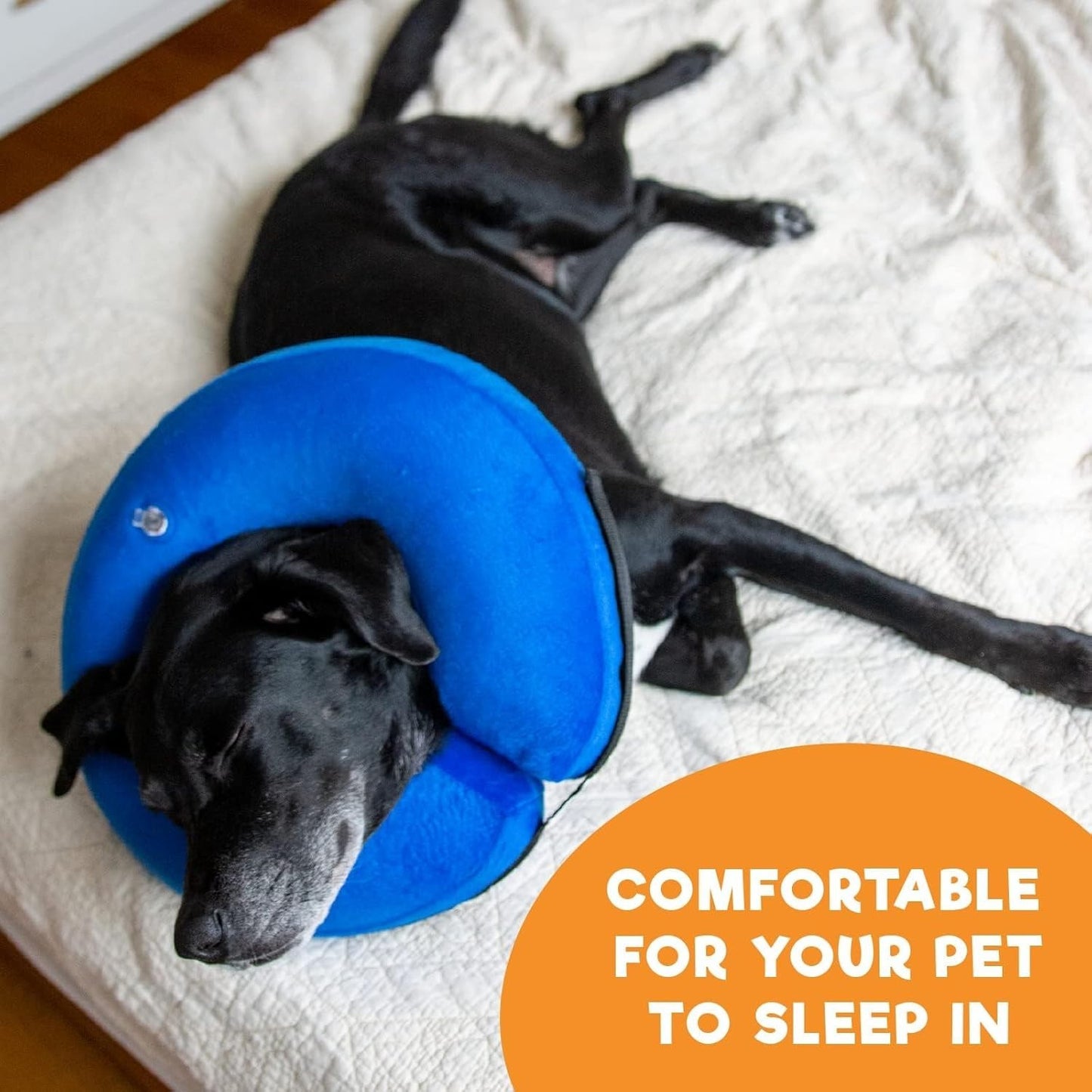 Pet Dog Cat Inflatable Collar Anti Scratch Head Neck Protection Recovery