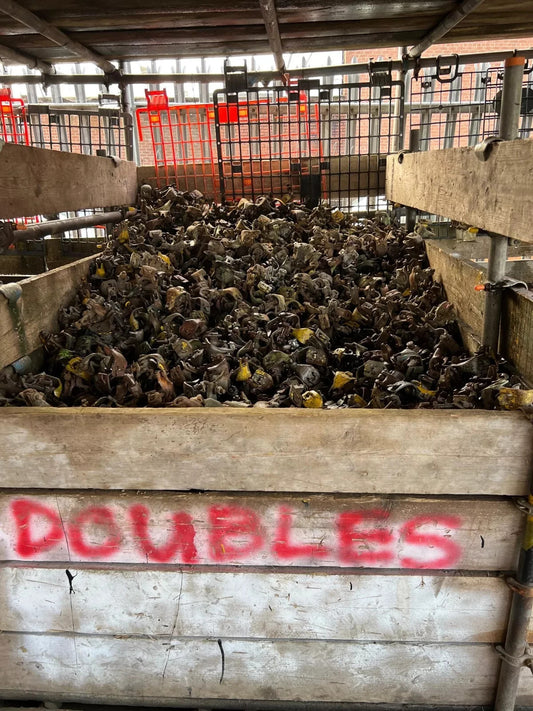 15 x Scaffolding Scaffold Fitting SWIVEL DOUBLE Coupler Clamp FAST FREE DELIVERY