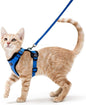 Breathable Small Pet Dog Puppy Cat Harness Reflective Soft Mesh Vest Lead Cute