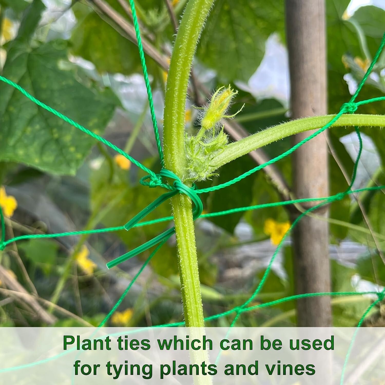Plant Support Mesh Net Vegetable Fruit Climbing Netting Pea Bean Trellis 6mx1.8m