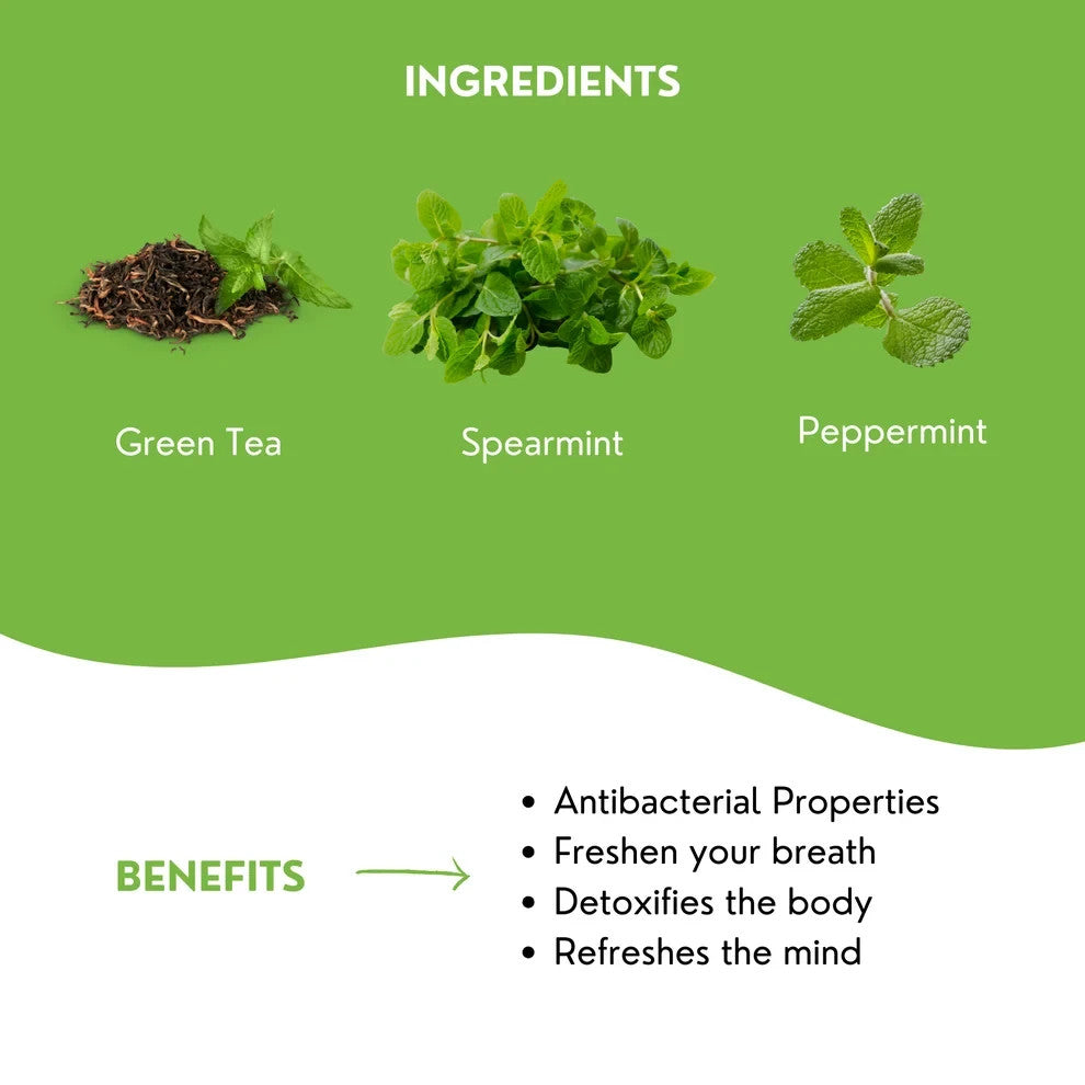 Mint Green Tea - 100 Gluten Free Antioxidant Teabags for Refreshing Relaxation