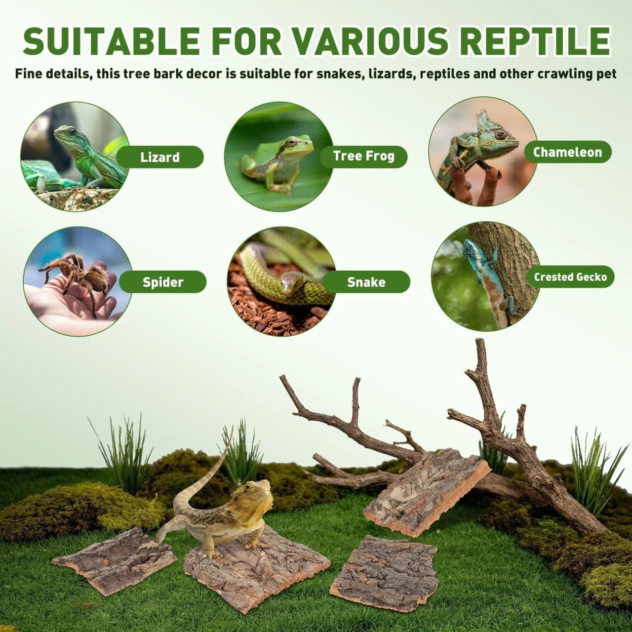 4Pcs Reptile Cork Bark Reptile Enclosure Background Cork Bark For Gecko