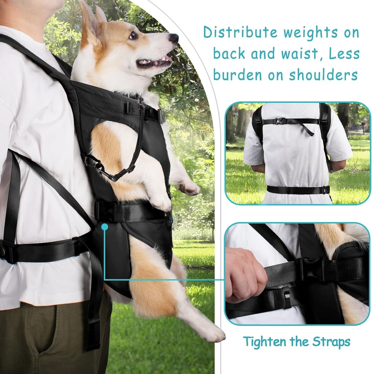 PetBonus Pet Front Dog Carrier Backpacks, Adjustable Backpack Carrier S M L & XL
