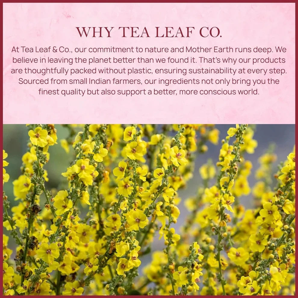 50 Bags Mullein Leaf Tea Bag Support Lung Cleansing & Detox, Digestive Health