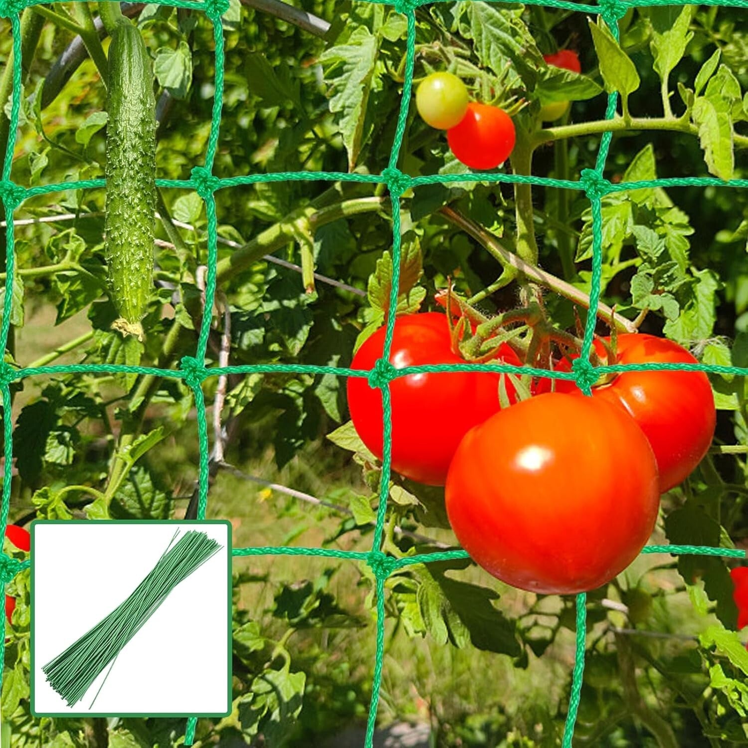 Plant Support Mesh Net Vegetable Fruit Climbing Netting Pea Bean Trellis 6mx1.8m