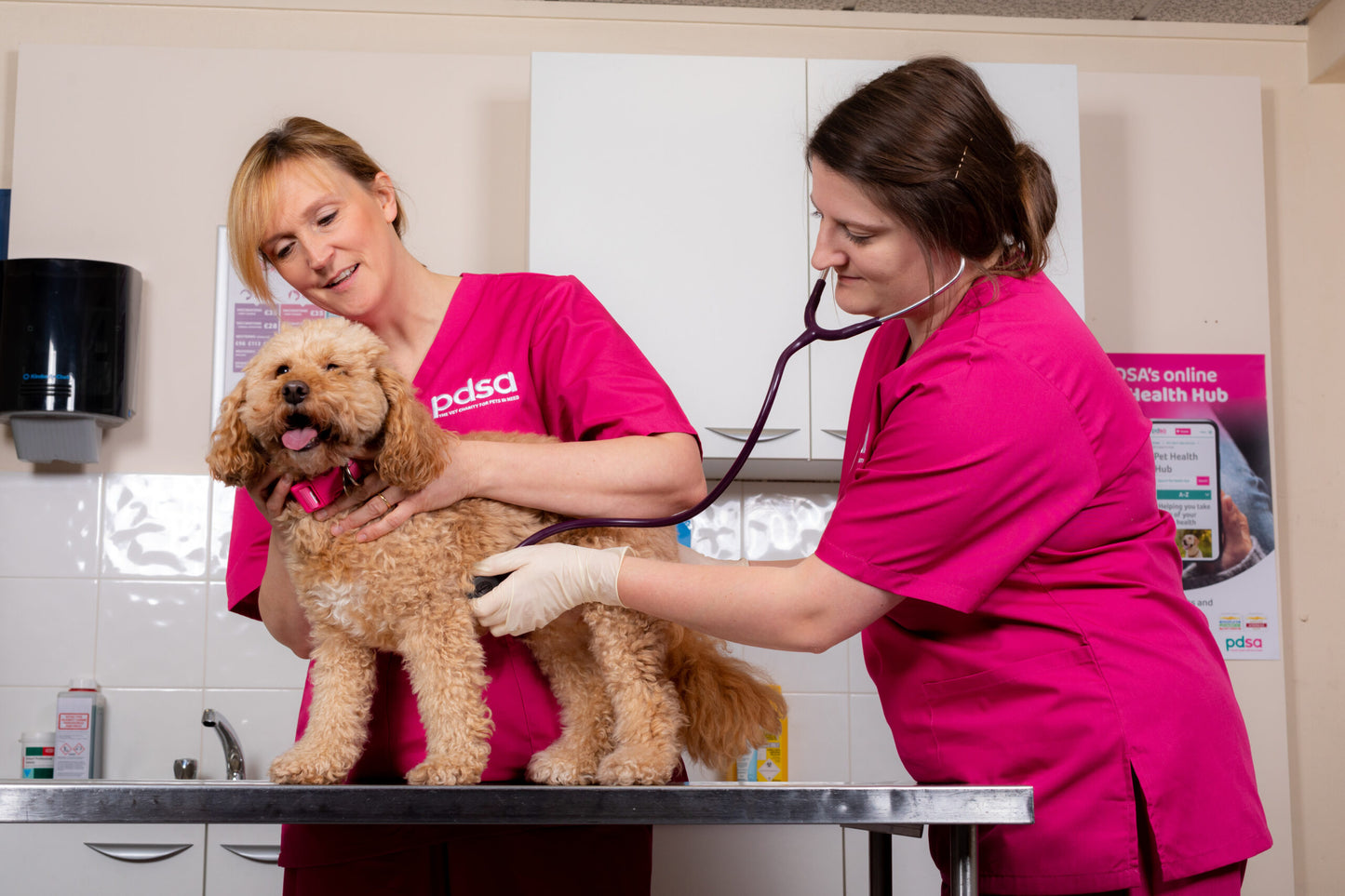 Win £200 - PDSA Raffle - £2 per Ticket